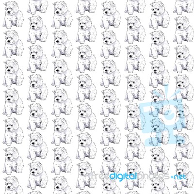 Westie Puppy Pattern Stock Image