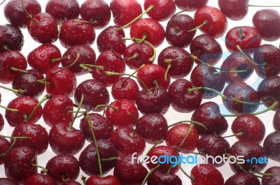 Wet Cherries Stock Photo