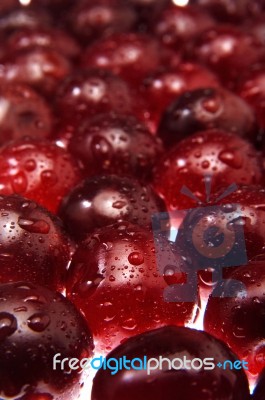 Wet Cherries Stock Photo