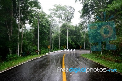 Wet Road Stock Photo