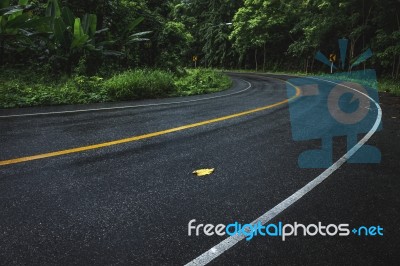 Wet Winding Road Stock Photo