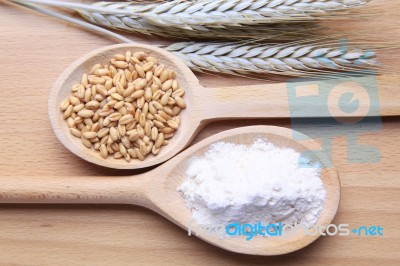 Wheat And Flour Stock Photo