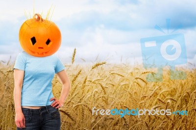 Wheat Field With Girl Wearing Pumpkin Stock Photo