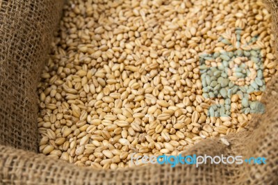 Wheat In Sack Stock Photo