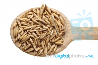 Wheat Seeds On Wooden Spoon Stock Photo