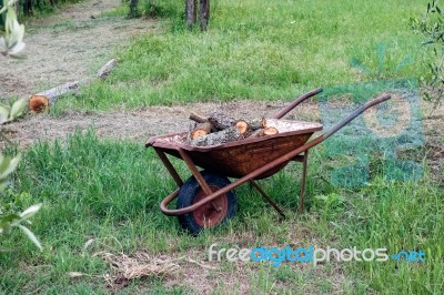 Wheelbarrow In An Olive Grove Stock Photo