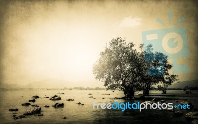 When The Tide Is Coming In On Old Paper Stock Photo