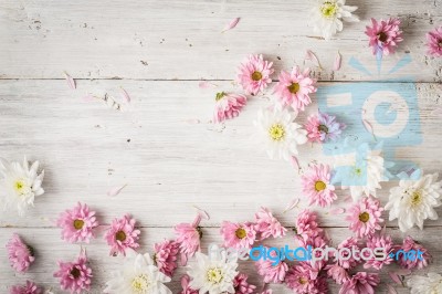 White And Pink Flower On The White Wooden Table Stock Photo