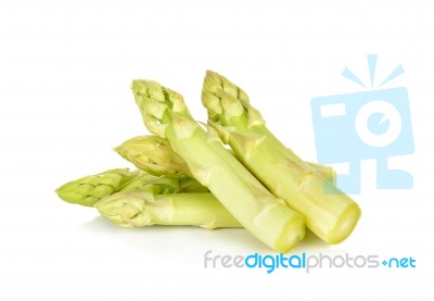 White Asparagus Isolated Stock Photo