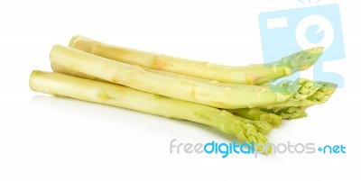 White Asparagus Isolated Stock Photo