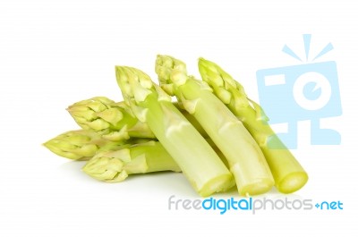 White Asparagus Isolated Stock Photo