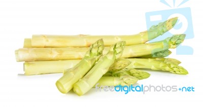 White Asparagus Isolated On The White Stock Photo