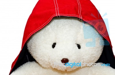 White Bear In Red Hood Stock Photo