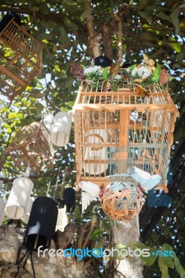 White Birds Out Of Their Cages Lifeless Concept, Stock Photo Stock Photo