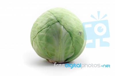 White Cabbage Stock Photo