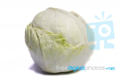 White Cabbage Stock Photo