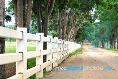 White Country Fence Stock Photo