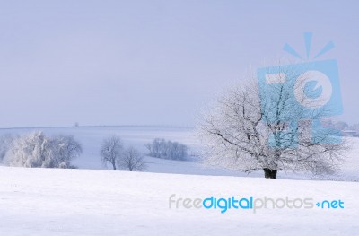 White Countryside Stock Photo