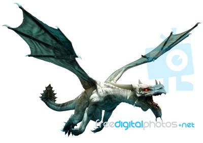 White Dragon Stock Image