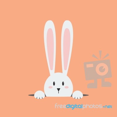 White Easter Rabbit Stock Image