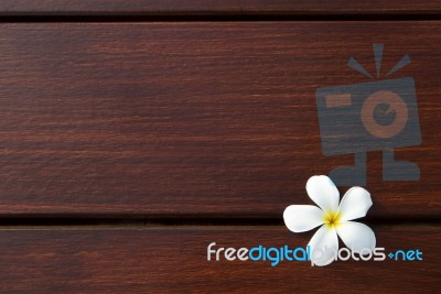 White Frangipani Flower On Wood Stock Photo