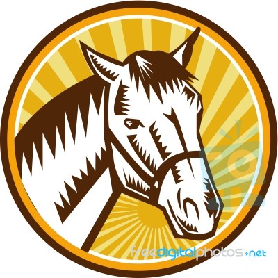 White Horse Head Sunburst Circle Woodcut Stock Image