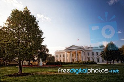 White House Stock Photo