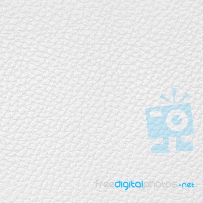 White Leather Texture Stock Photo