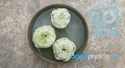 White Lotus Floating In The Green Bowl Stock Photo