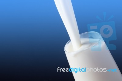 White Milk In Glass Stock Photo