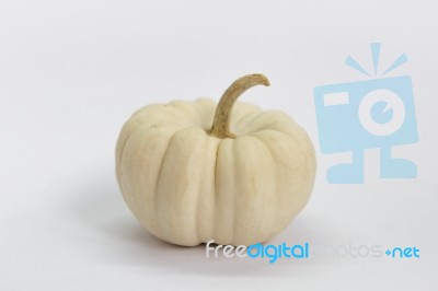 White Mini Pumpkin Stock Photo