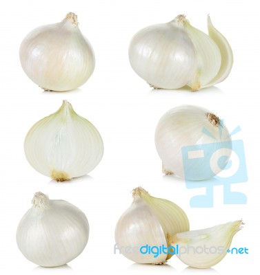 White Onion Isolated On The White Background Stock Photo