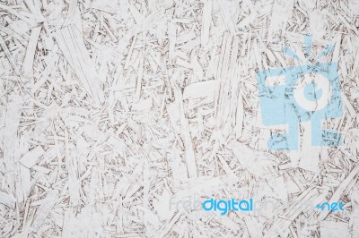 White Painted Plywood Showing Surface Details Stock Photo