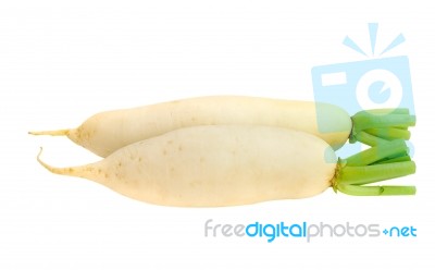 White Radish Stock Photo