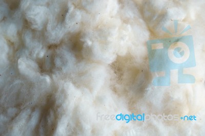 White Raw Silk Wool Stock Photo