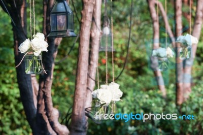 White Roses In A Glass Vase Stock Photo