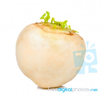 White Turnip Isolated On The White Background Stock Photo