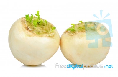 White Turnip Isolated On The White Background Stock Photo