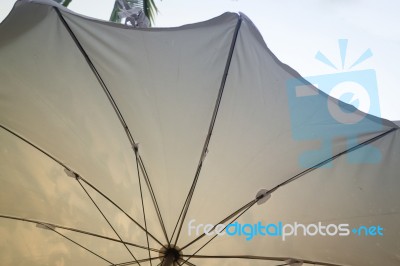 White Umbrella In The Garden Stock Photo