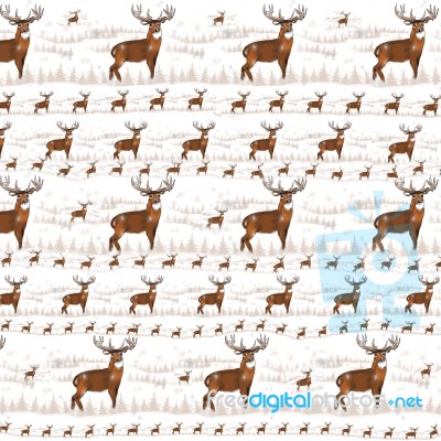 Whitetail Background 3 Stock Image