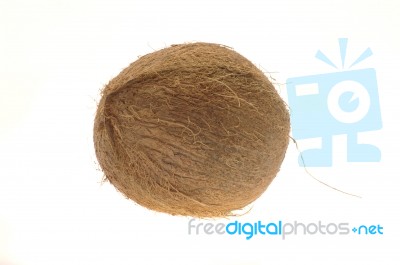 Whole Coconut Stock Photo