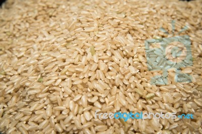 Whole Grain Japanese Rice Stock Photo