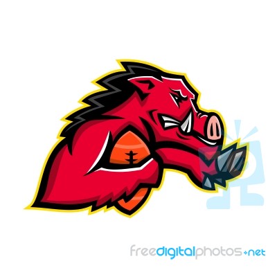 Wild Boar American Football Mascot Stock Image