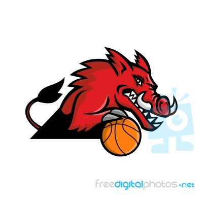 Wild Boar Basketball Mascot Stock Image