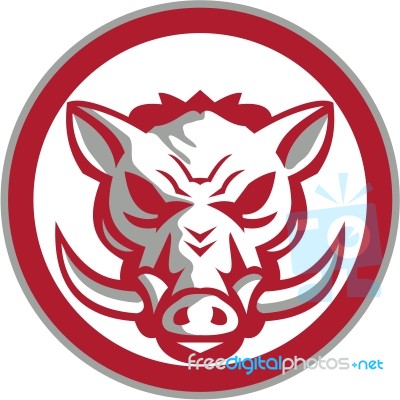 Wild Boar Razorback Head Angry Circle Retro Stock Image