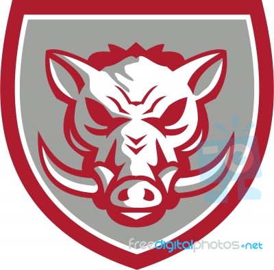 Wild Boar Razorback Head Angry Shield Retro Stock Image