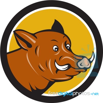 Wild Boar Razorback Head Startled Circle Cartoon Stock Image