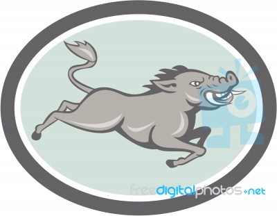 Wild Boar Razorback Jumping Side Cartoon Stock Image