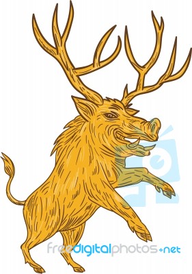 Wild Boar Razorback With Antlers Prancing Drawing Stock Image