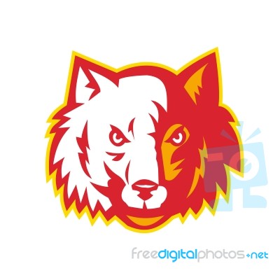 Wild Dog Wolf Head Front Stock Image